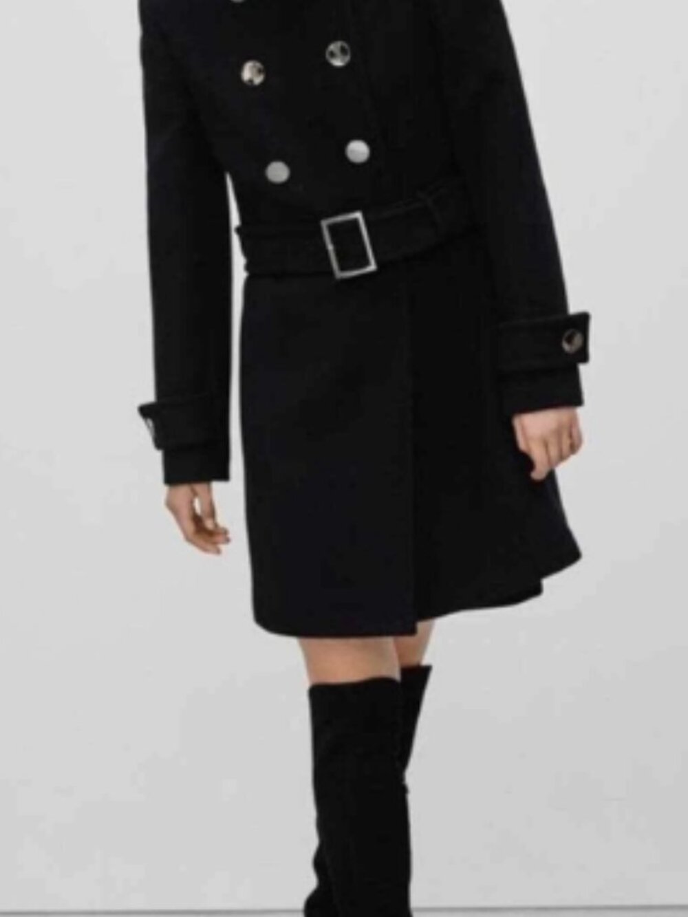 Aritzia Babaton Bromley Military Coat